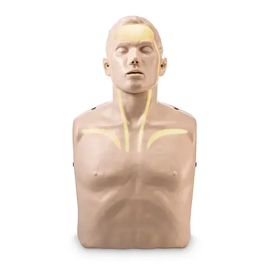 manekin-brayden-led.jpg
