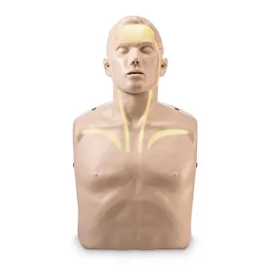 manekin-brayden-led.jpg