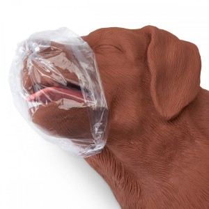 Fantom-Psa-Casper-CPR-gotowy-do-cwiczen.jpg